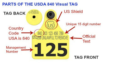What is an official USDA 840 ear tag?