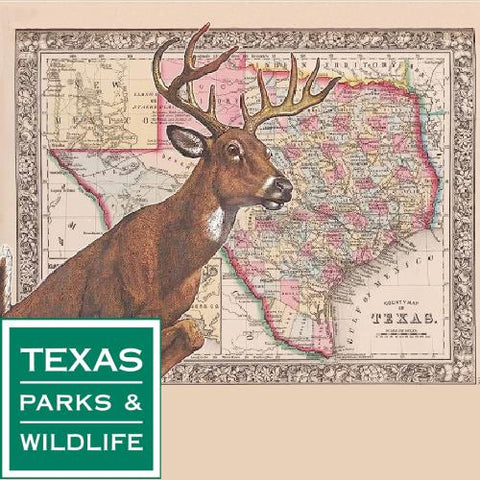 TPWD Texas Whitetail ID Deer Ear Tags