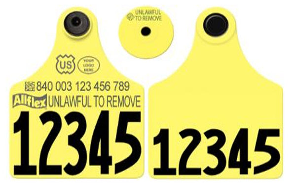 Allflex Global Maxi Numbered 2 Sides Tag With Button - Tamperproof - USDA 840 Visual