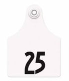 Allflex Global Maxi Numbered 1 Side Tag With Large Male Blank Tag - Set