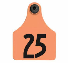 Allflex - Dairy Double - 2 Global Maxi Numbered 1 Side Tags With Buttons - Tamperproof - Matched Set - FDX