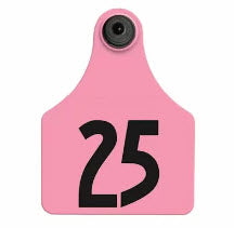 Allflex - Dairy Double - 2 Global Maxi Numbered 1 Side Tags With Buttons - Tamperproof - Matched Set - FDX