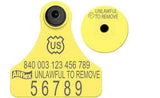 Allflex Global Sheep Junior Numbered 1 Side Female Tag with Male Tag - Set - 840 Visual