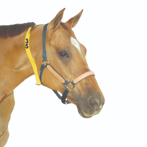 Bock Blank Equine Neck Strap -54"