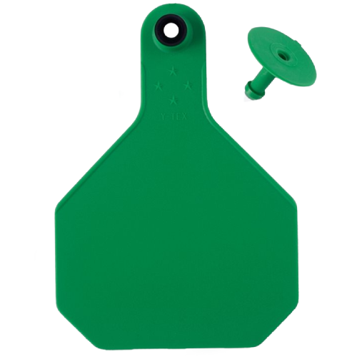 Y-Tex AA Bag of Large 4* Blank Tags With Buttons (25/bag)