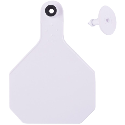 Y-Tex AA Bag of Large 4* Blank Tags With Buttons (25/bag)