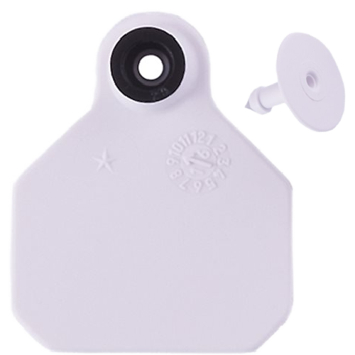 Blank Ear Tag with Button: Y-Tex 2 piece mini tag for goats, sheep