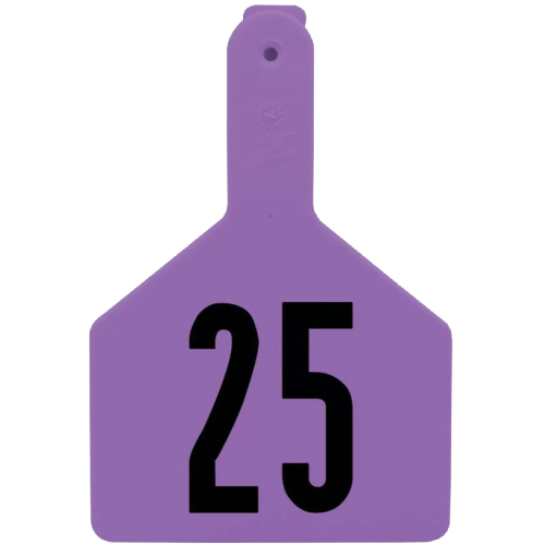 Z-Tag Z1 1-Piece Cow Custom 2 Sides Tag