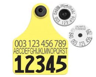Allflex Global Large Custom 1 Side Tag With Button - Tamperproof - Matched Set - USDA 840 HDX