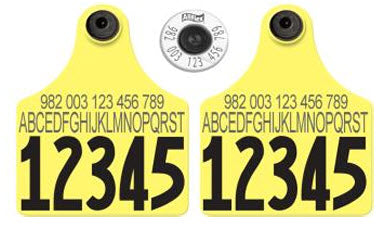 Allflex - Dairy Double - 2 Global Maxi Custom 1 Side Tags With Large Male Custom 1 Side Tags - Tamperproof -982  Matched Set - HDX