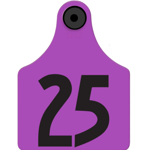 Allflex - Dairy Double - 2 Global Maxi Custom 2 Sides Tags With Buttons - Tamperproof - Matched Set - HDX