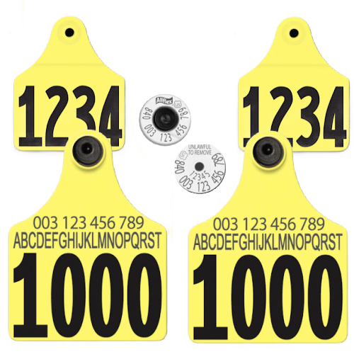 Allflex - Dairy Double - 2 Global Maxi Custom 1 Side Tags With Large Male Custom 1 Side Tags - Tamperproof - Matched Set - HDX