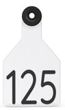 Ritchey Bag of Universal Medium Blank Tags With Black Buttons (25/bag)