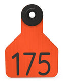 Ritchey Universal Small Blank Tag - Female Tag Only