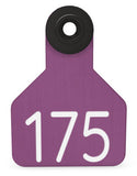 Ritchey Universal Small Custom 2 Sides Tag With Black Button