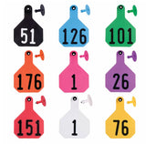 Y-Tex AA Bag of Large 4* Pre-Numbered Tags With Buttons (25/bag)