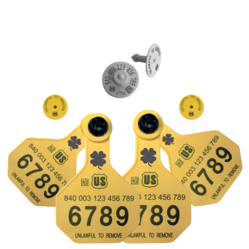 Y-Tex - Dairy Double - 2 AA Medium 3* Custom 2 Sides Tags With Buttons - Tamperproof - Matched Set - HDX