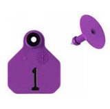 Y-Tex AA Mini 1* Numbered 2 Sides Tag With Button