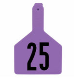 Z-Tag Z1 1-Piece Cow Numbered 1 Side Tag