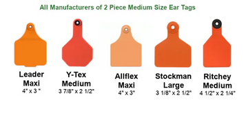 Ear Tag Sizes