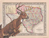 Texas Parks and Wildlife (TPWD) Deer ID Tagging Requirements