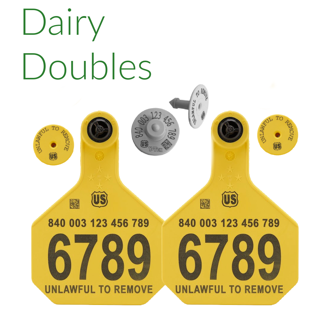 Dairy Double Visual tag in each ear matched to EID tag