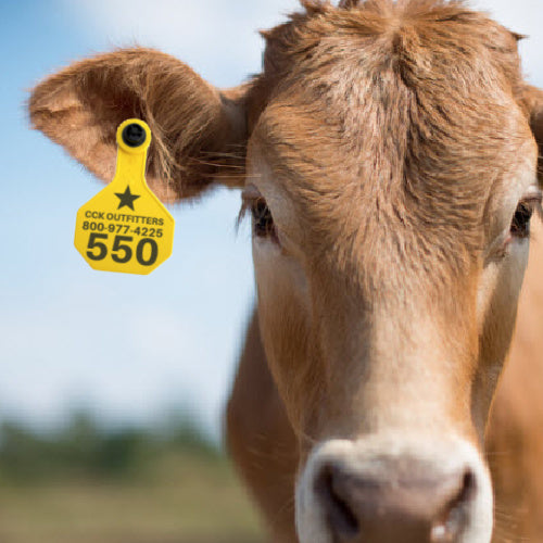 SHOP CUSTOM EAR TAG PAGE