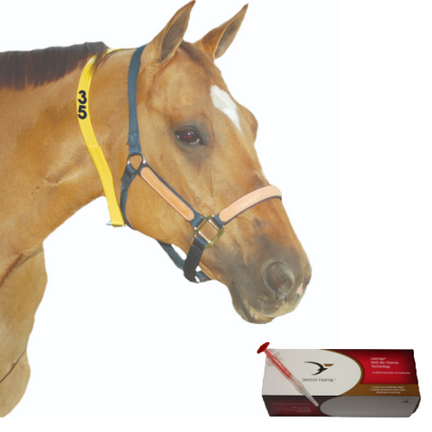 Horse Identification Products &amp; Equine Microchips