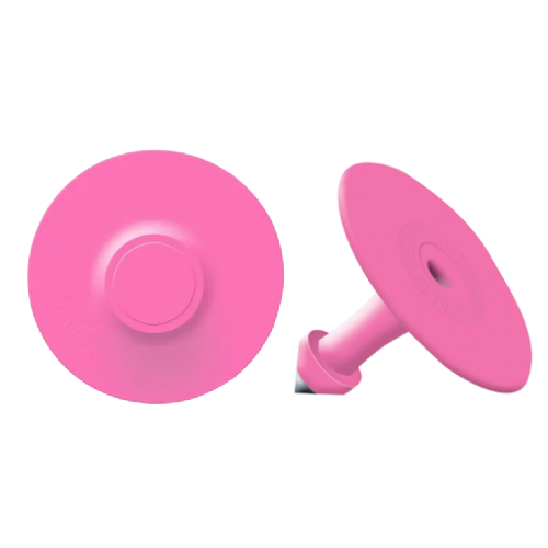 Tamperproof Blank Ear Tag with Button: Allflex 2 piece Small Male back ...