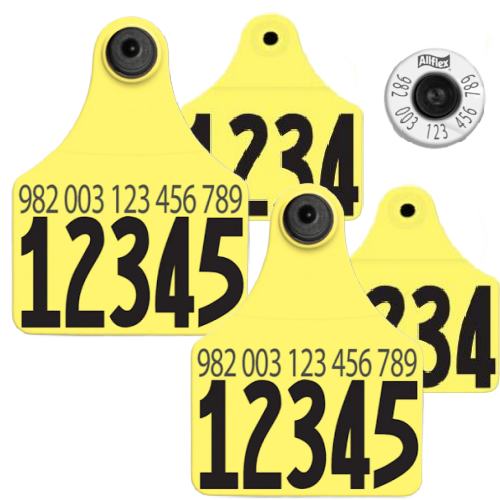 RFID HDX Dairy Double Numbered Ear Tag Sets: Pair of Allflex Large ...