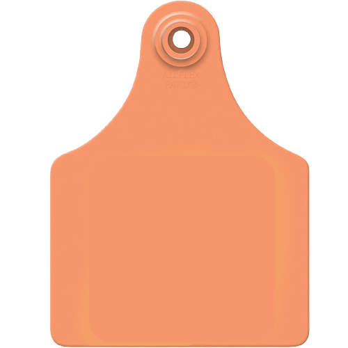 Allflex Global Large Blank Tag - Male Tag Only