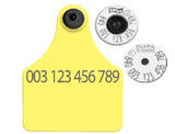 Allflex Global Large Blank Tag With Button - Tamperproof - Matched Set - USDA 840 HDX