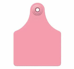 Allflex Global Maxi Unique Number Deer Tag With Button - TPWD