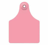 Allflex Global Large Blank Tag With Large Male Blank Tag - Set