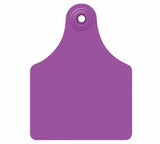 Allflex Global Large Blank Tag With Large Male Blank Tag - Set