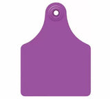 Allflex Global Bag of Large Blank Tags With Buttons (25/bag)