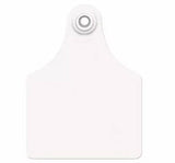 Allflex Global Bag of Large Blank Tags With Buttons (25/bag)
