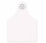 Allflex Global Large Blank Tag With Large Male Blank Tag - Set