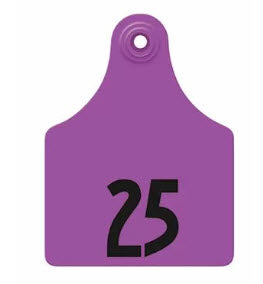 Allflex Global Maxi Numbered 1 Side Tag With Button - Matched to Tissue Sampling Unit