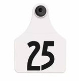 Allflex Global Maxi Numbered 1 Side Tag With Large Male Numbered 1 Side Tag - Tamperproof - USDA 840 Visual