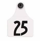 Allflex Global Large Numbered 1 Side Tag With Button - Tamperproof