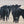 Bock Boc-Loc Dewlap Numbered Tag