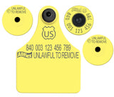 Allflex Global Large Blank Tag With Button - Tamperproof - Matched Set - USDA 840 FDX