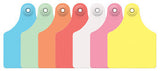 Allflex Global Maxi Numbered 1 Side Tag With Button