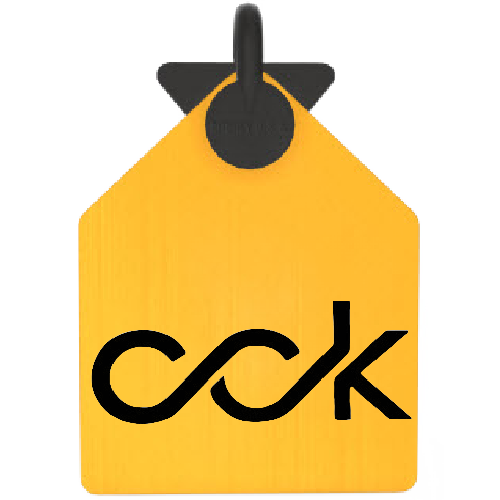 R-ARW-CURV-LG-C1-yel_blk  logo .png