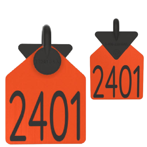 Ritchey Curved Arrowhead Medium Numbered 2 Sides Tag