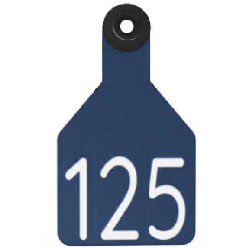 Ritchey Universal Medium Custom 2 Sides Tag With Black Button