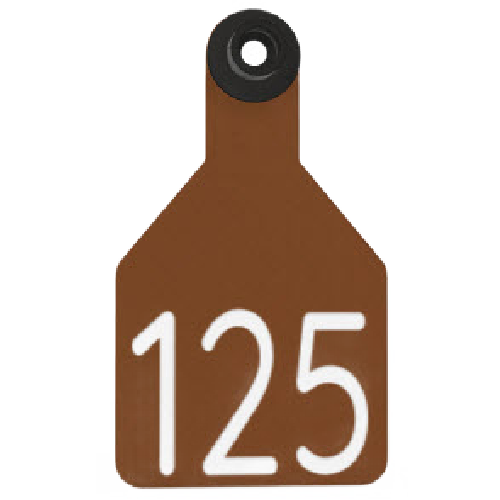 Ritchey Universal Medium Custom 2 Sides Tag With Black Button
