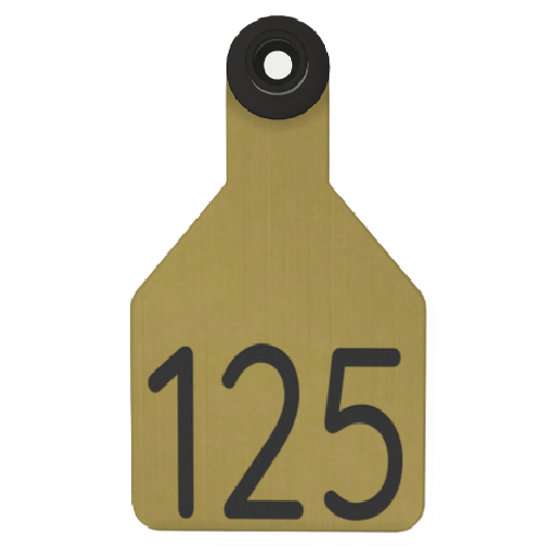 Ritchey Universal Medium Custom 2 Sides Tag With Black Button
