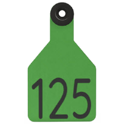 Ritchey Universal Medium Custom 2 Sides Tag With Black Button